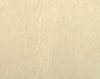 1225_2.JPG